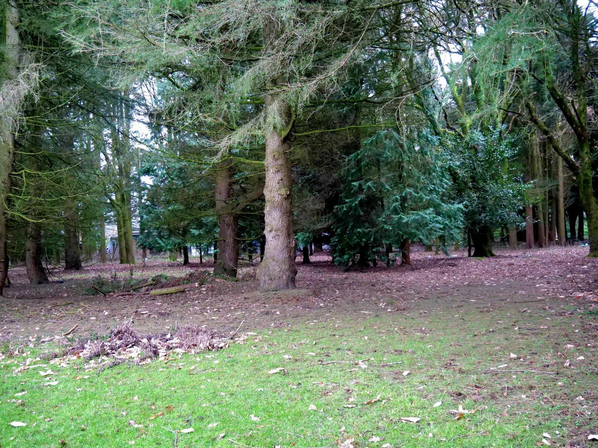 Beautiful In Brentwood * Kelvedon Hatch