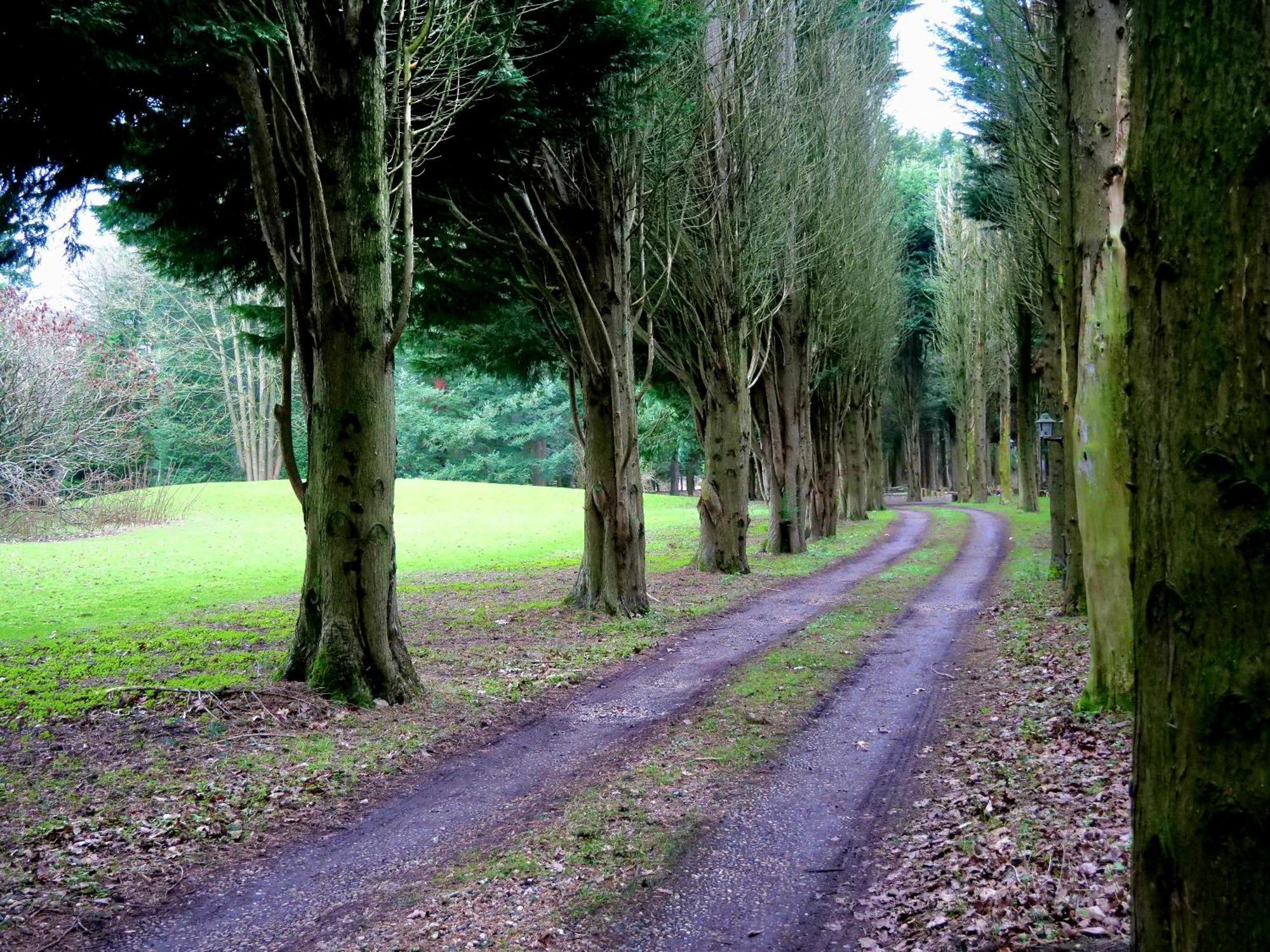 Beautiful In Brentwood *