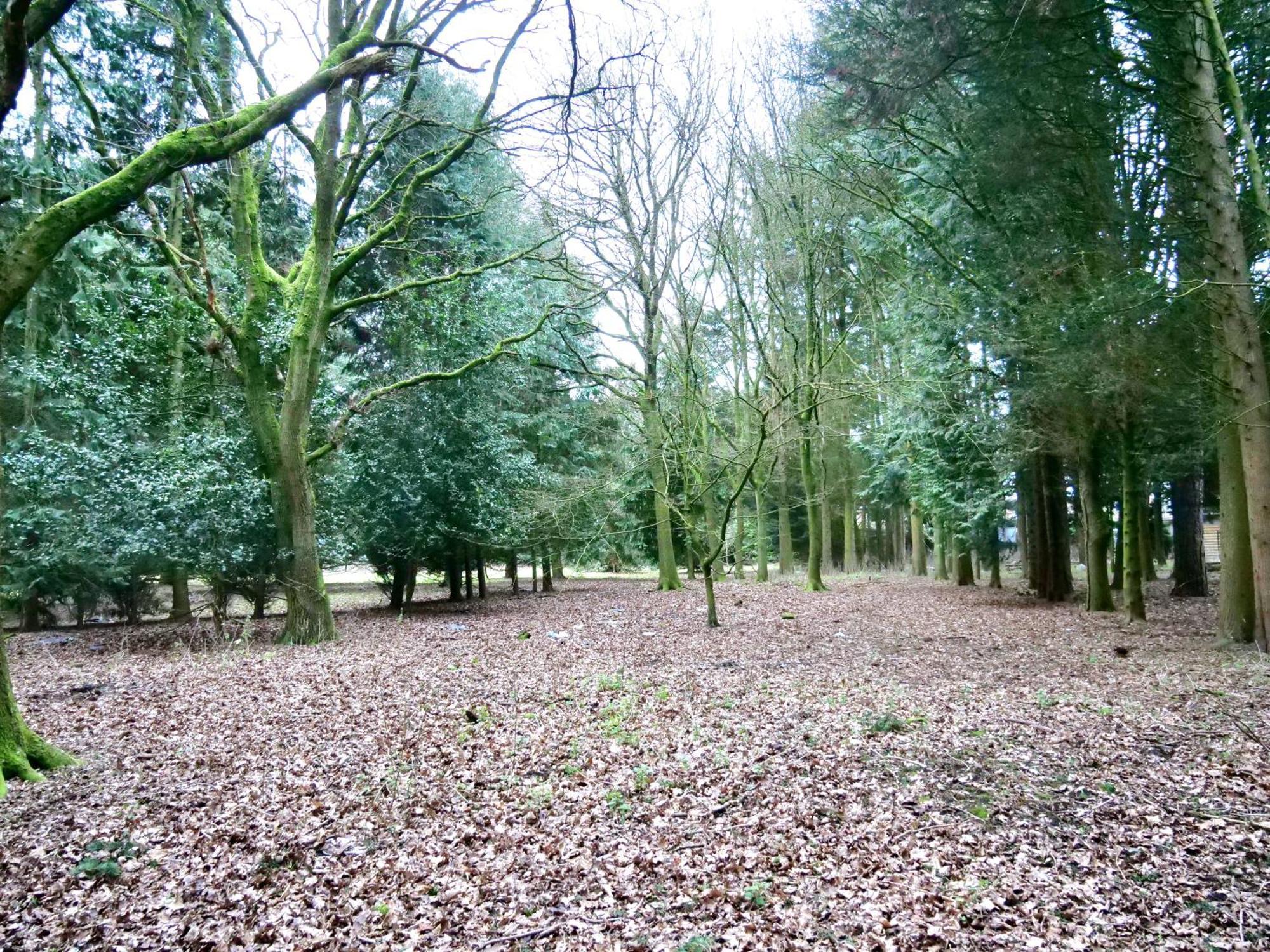 Beautiful In Brentwood Holiday home Kelvedon Hatch